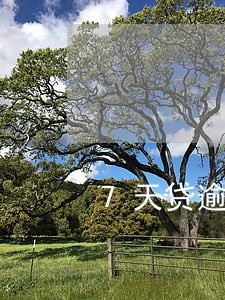 7天贷逾期还能申请7天贷吗 7天贷逾期还能申请7天贷吗