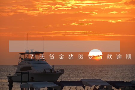 7天贷金猪贺岁借款逾期 7天贷金猪贺岁借款逾期