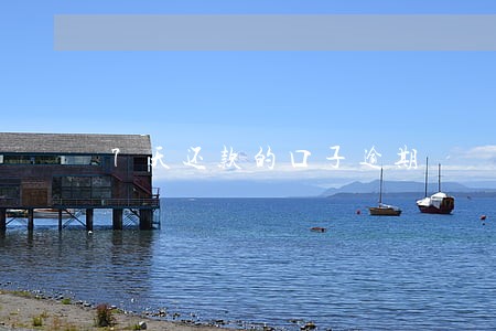 7天还款的口子逾期 7天还款的口子逾期