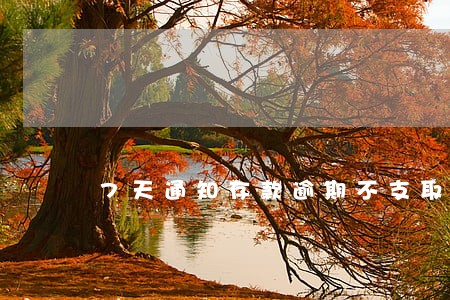 7天通知存款逾期不支取 7天通知存款逾期不支取