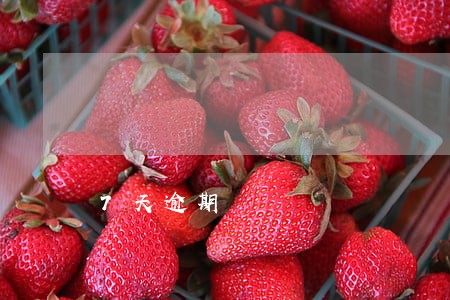7天逾期 7天逾期