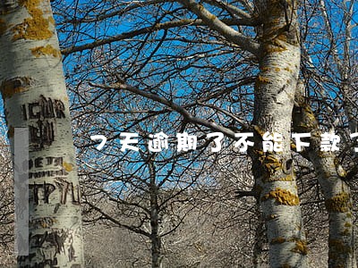 7天逾期了不能下款了吧 7天逾期了不能下款了吧