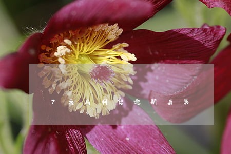7天高利贷逾期后果 7天高利贷逾期后果