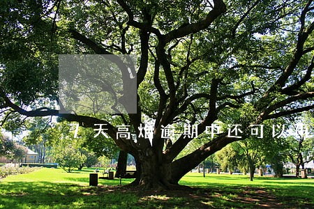 7天高炮逾期中还可以再申请吗 7天高炮逾期中还可以再申请吗