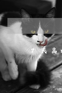 7天高炮逾期后果 7天高炮逾期后果