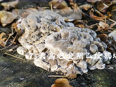 7天高炮逾期已经被爆通讯录 7天高炮逾期已经被爆通讯录