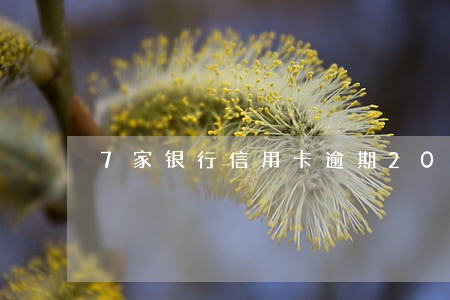 7家银行信用卡逾期20万处理
