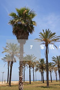 7家银行信用卡逾期怎么协商