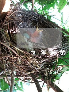 7年前的逾期会不会影响办信用卡 7年前的逾期会不会影响办信用卡