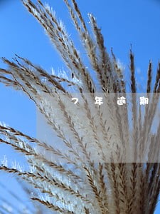 7年逾期还清能办理信用卡吗 7年逾期还清能办理信用卡吗