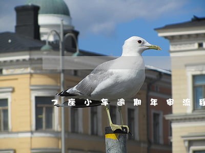 7座小车逾期年审流程 7座小车逾期年审流程