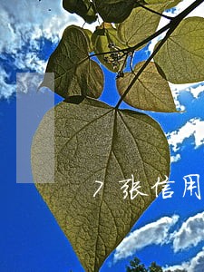 7张信用卡一共逾期11万判刑吗