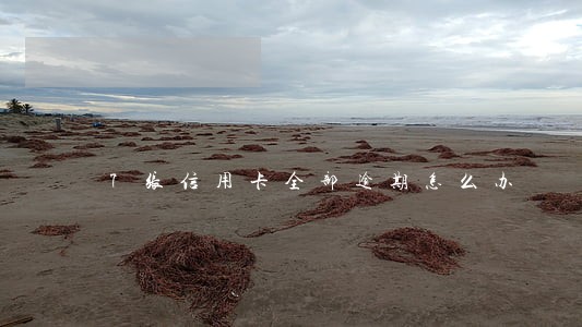 7张信用卡全部逾期怎么办