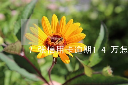 7张信用卡逾期14万怎么还 7张信用卡逾期14万怎么还