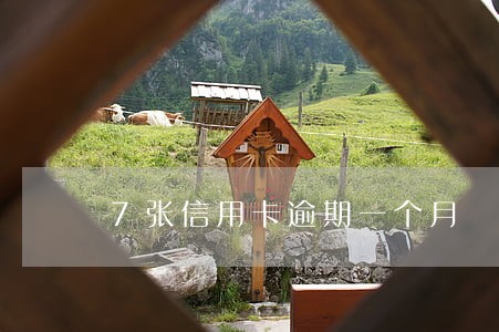 7张信用卡逾期一个月 7张信用卡逾期一个月