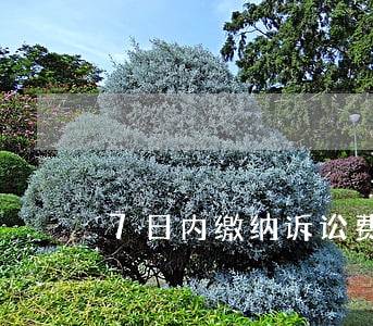 7日内缴纳诉讼费 7日内缴纳诉讼费
