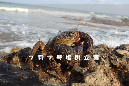 7月7号接的立案
