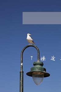 7条逾期记录 7条逾期记录