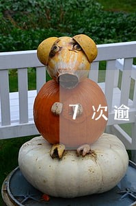 7次逾期房贷能贷下来吗