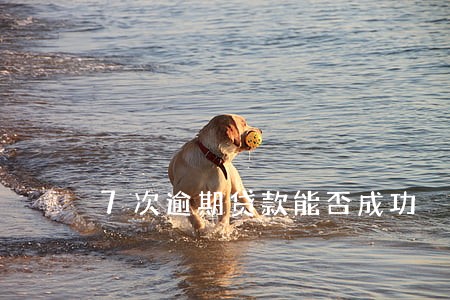 7次逾期贷款能否成功 7次逾期贷款能否成功