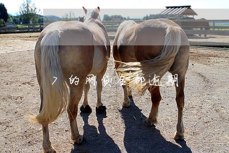 7的网贷全部逾期 7的网贷全部逾期