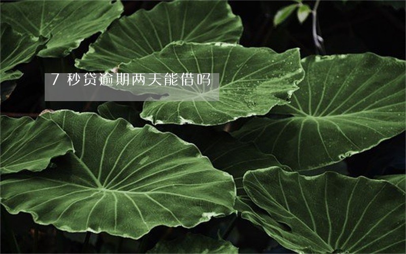 7秒贷逾期两天能借吗 7秒贷逾期两天能借吗