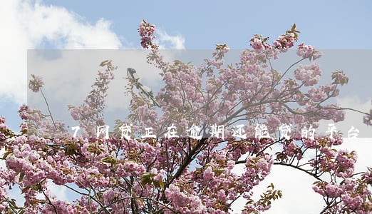7网贷正在逾期还能贷的平台 7网贷正在逾期还能贷的平台