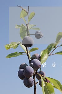 7贷逾期了会有什么后果 7贷逾期了会有什么后果