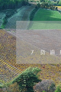 7贷逾期利息怎么算 7贷逾期利息怎么算