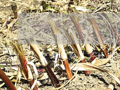 7贷逾期和客户经理 7贷逾期和客户经理