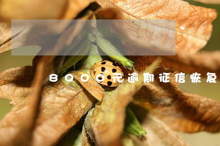 8000元逾期征信恢复期 8000元逾期征信恢复期