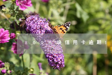 8000块信用卡逾期1个月 8000块信用卡逾期1个月