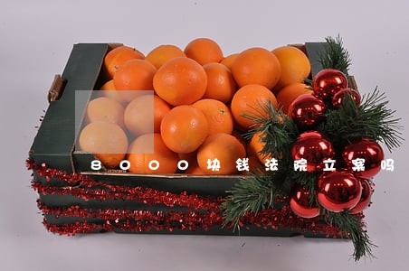 8000块钱法院立案吗 8000块钱法院立案吗