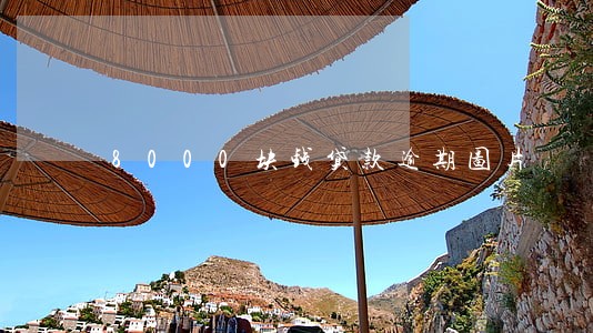 8000块钱贷款逾期图片 8000块钱贷款逾期图片