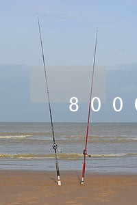 8000浦发万用金逾期 8000浦发万用金逾期