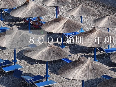8000逾期一年利息多少 8000逾期一年利息多少