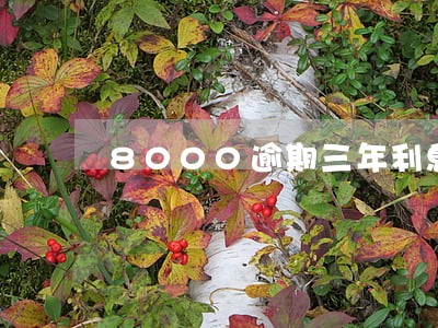 8000逾期三年利息最高怎么算 8000逾期三年利息最高怎么算