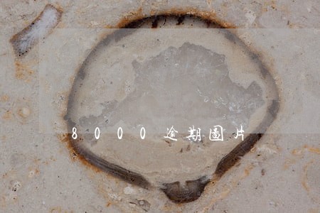 8000逾期图片 8000逾期图片