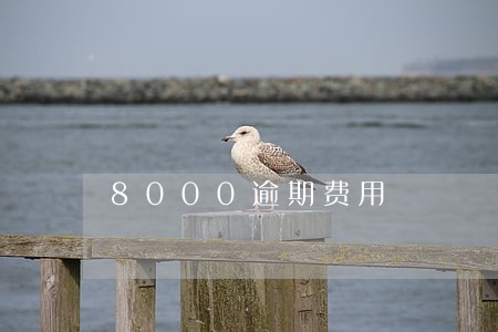 8000逾期费用 8000逾期费用