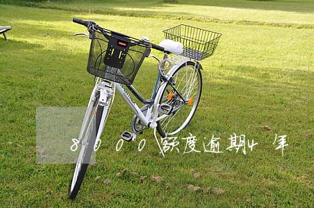 8000额度逾期4年 8000额度逾期4年