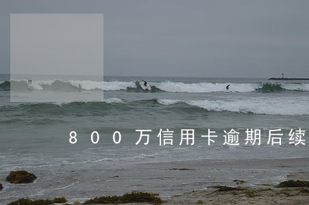 800万信用卡逾期后续