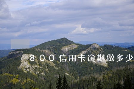 800信用卡逾期做多少年牢 800信用卡逾期做多少年牢