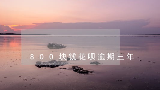 800块钱花呗逾期三年 800块钱花呗逾期三年