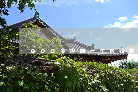 800多逾期一个月罚款多少 800多逾期一个月罚款多少