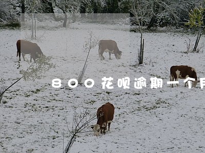 800花呗逾期一个月多少利息 800花呗逾期一个月多少利息