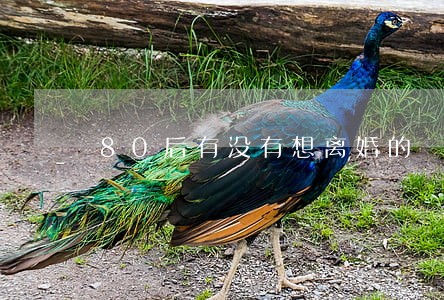 80后有没有想离婚的 80后有没有想离婚的