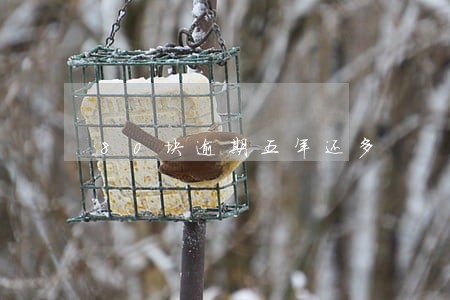 80块逾期五年还多 80块逾期五年还多