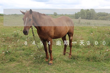 8454逾期一天300合法吗