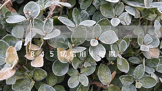 845亿信用卡逾期 845亿信用卡逾期