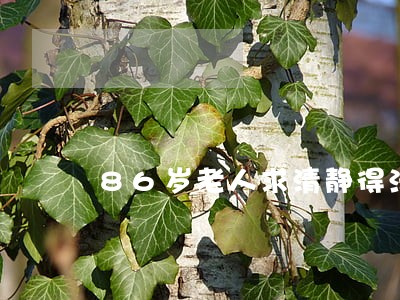 86岁老人求清静得法院支持 86岁老人求清静得法院支持